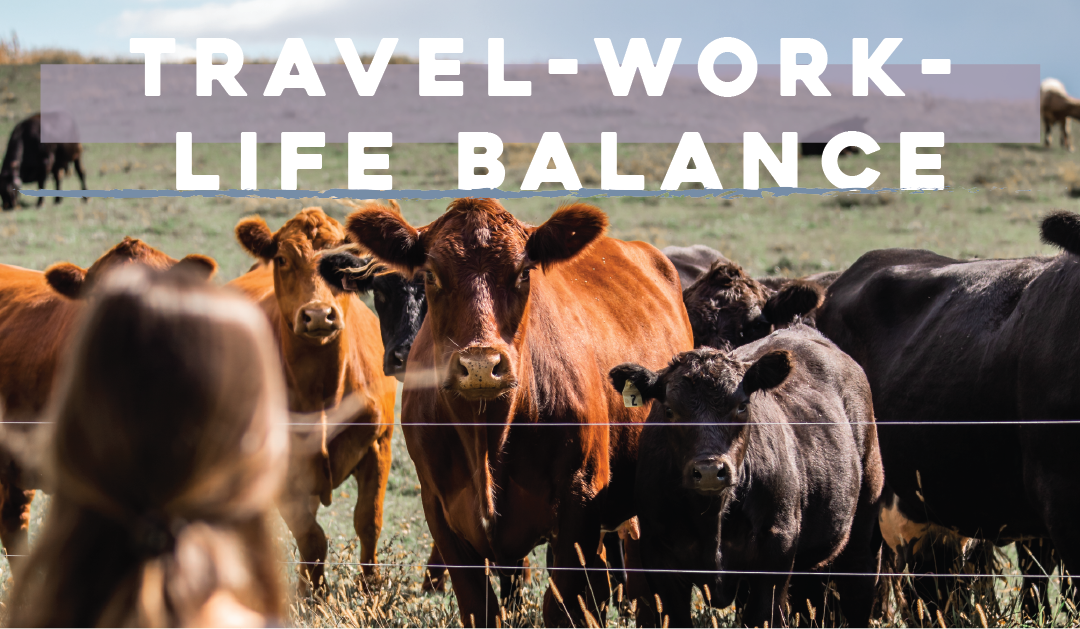 Travel-Work-Life Balance
