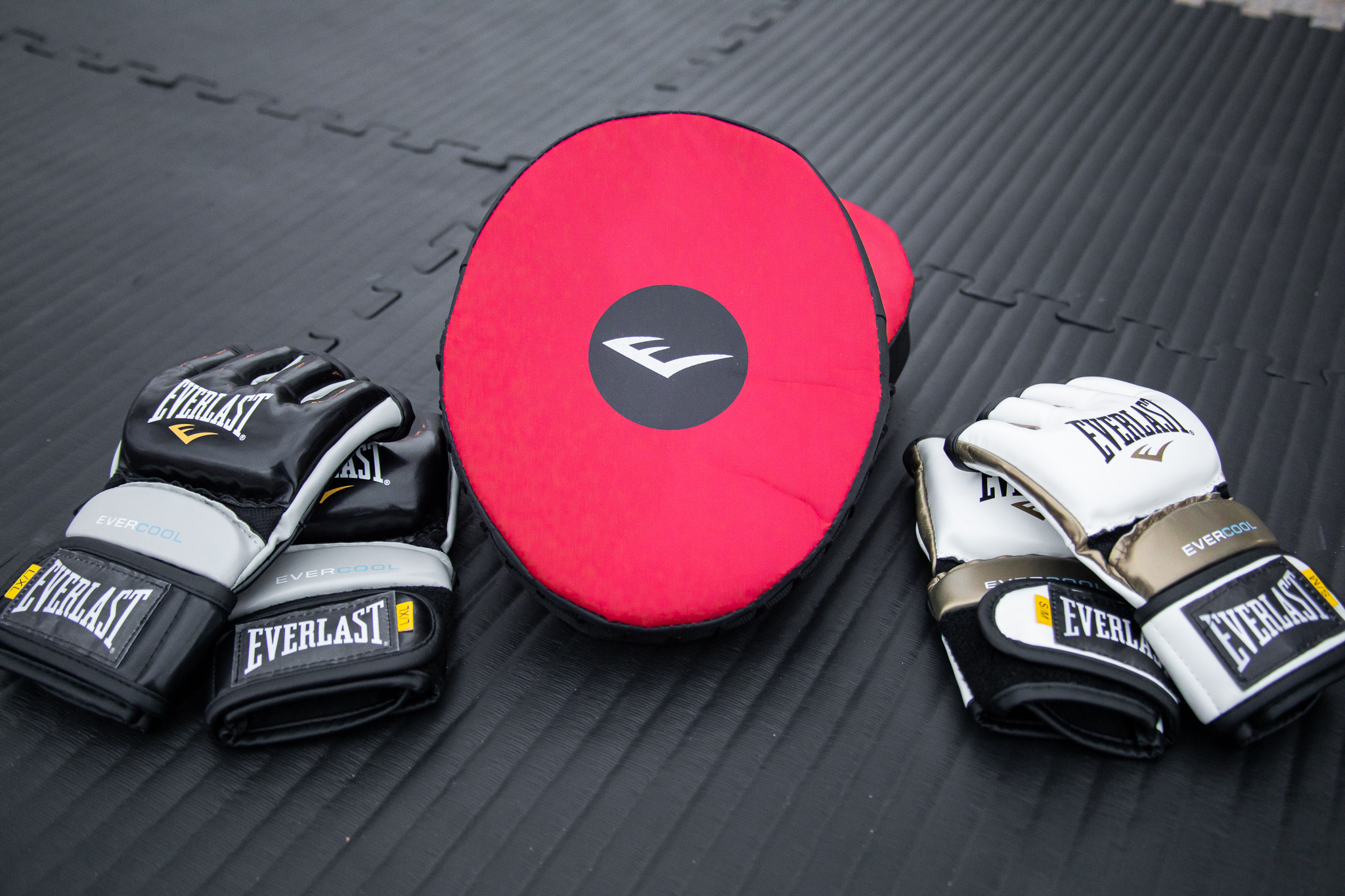MMA Gloves & Focus Mitts