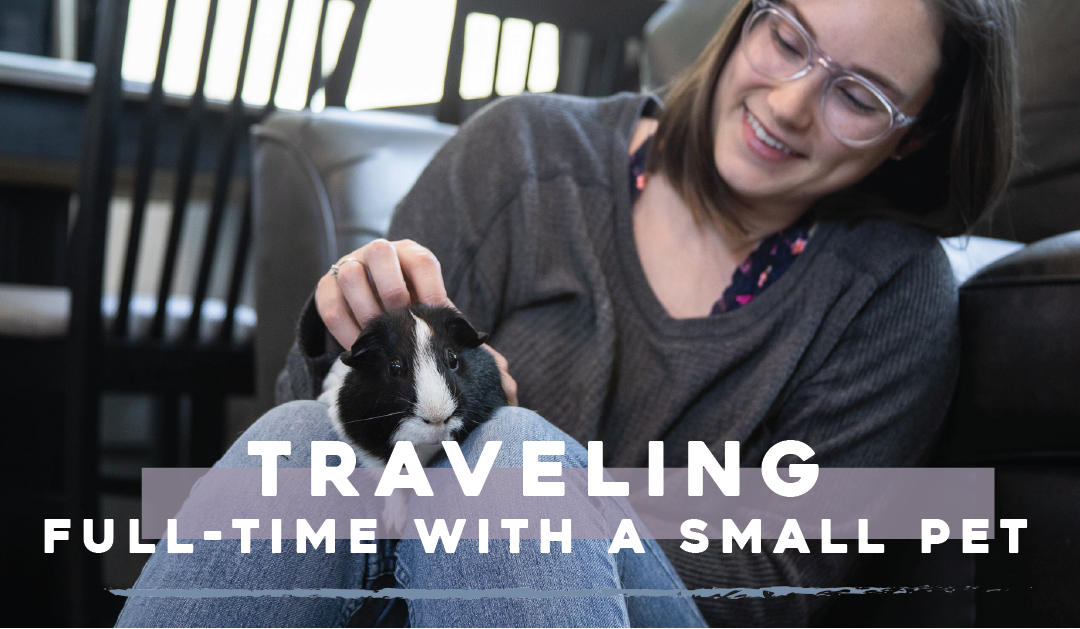 Traveling Full-time with a Small Pet – RVing with our Guinea Pig