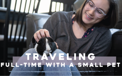 Traveling Full-time with a Small Pet – RVing with our Guinea Pig