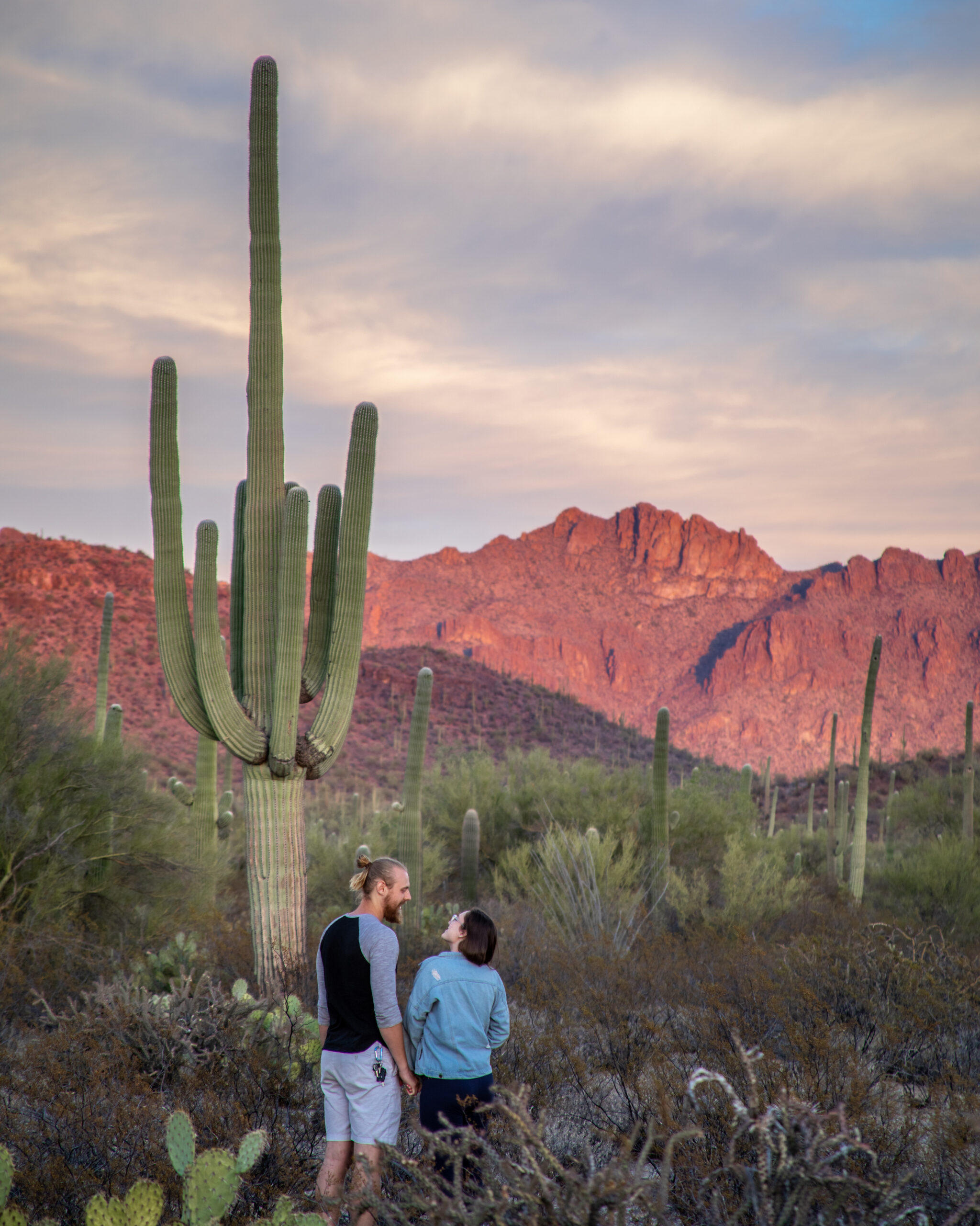 My Favorite Hikes in Tucson