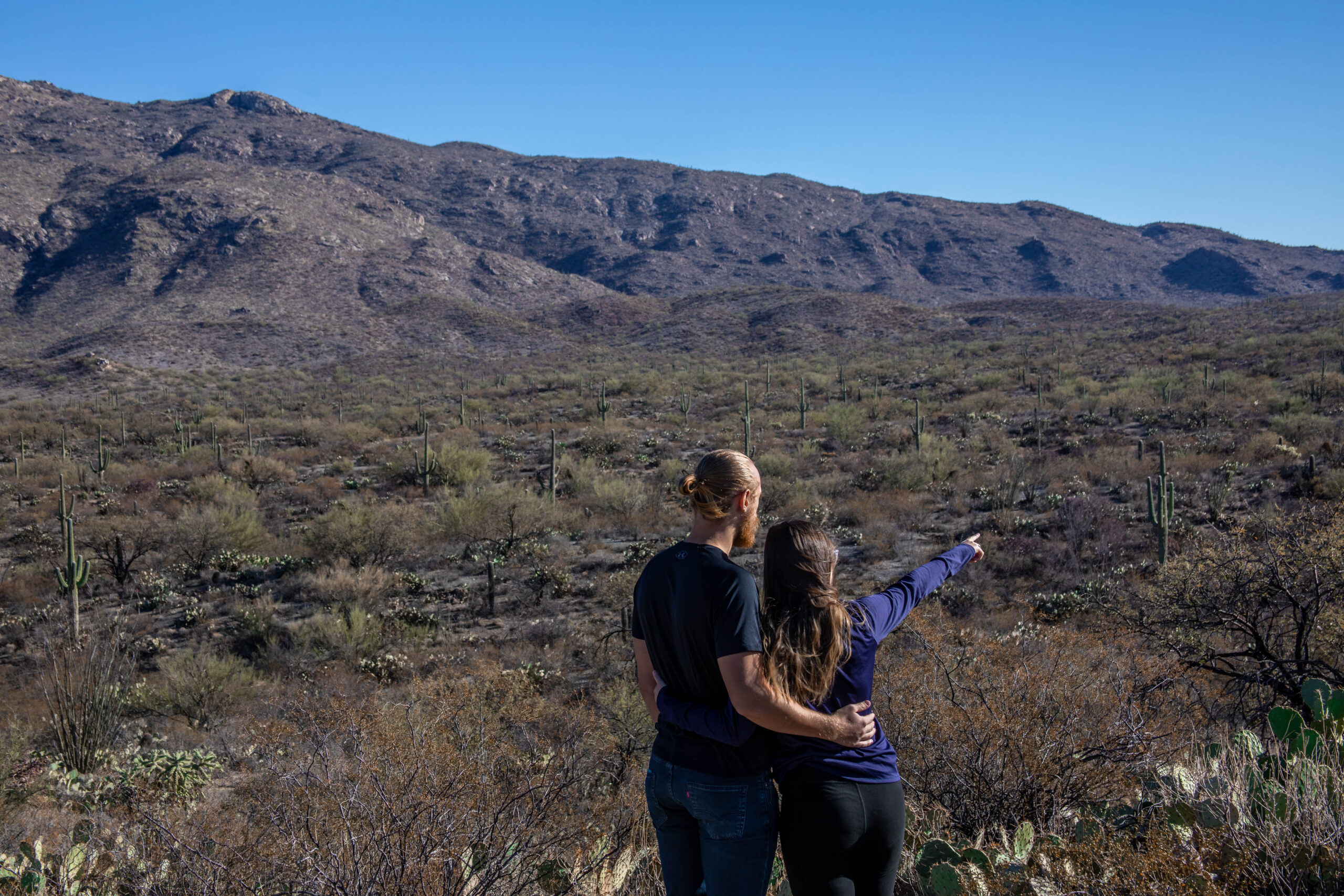 My Favorite Hikes in Tucson