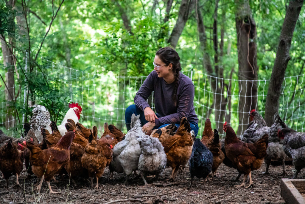 Our First Month with Chickens